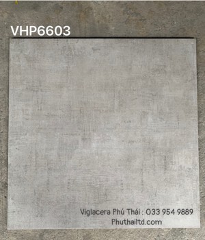 Gạch lát nền 600x600 Viglacera VHP6603