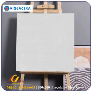 Gạch lát nền 600x600 Viglacera BS6603