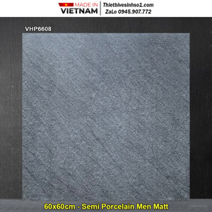 Gạch lát nền 600x600 Viglacera VHP6608