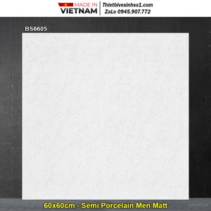 Gạch lát nền 600x600 Viglacera BS6605