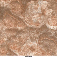Gạch lát nền 60×60 Toko Ceramic XD-AHT-6526