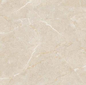 Gạch lát nền 60×60 TTC Ceramic PS66003