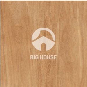 Gạch lát nền 60×60 TTC Ceramic PN66204