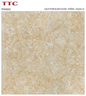 Gạch lát nền 60×60 TTC Ceramic PS66002