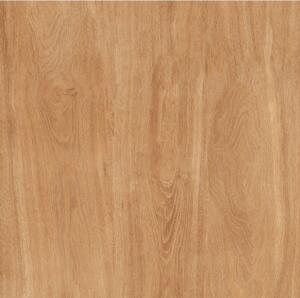 Gạch lát nền 60×60 TTC Ceramic PN66204