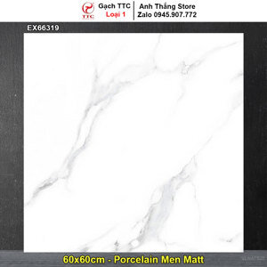 Gạch lát nền 60×60 TTC EX66319