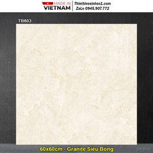 Gạch lát nền 60×60 Viglacera TB603