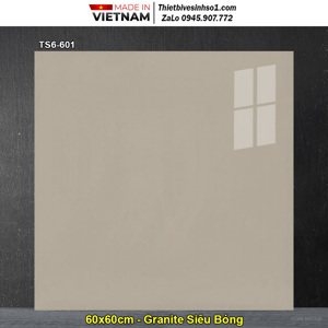 Gạch lát nền 60×60 Viglacera TS6-601