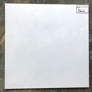 Gạch lát nền 60×60 WORLD TILES PC6609