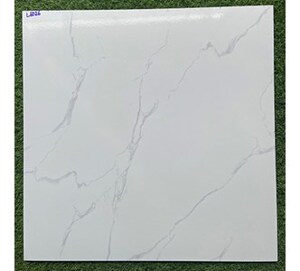Gạch lát nền 60x60 L6026