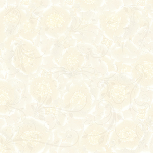 Gạch lát nền 60x60 Prime 09001