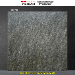 Gạch lát nền 60x60 Taicera G68769