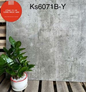 Gạch lát nền 60x60 Taicera G68034