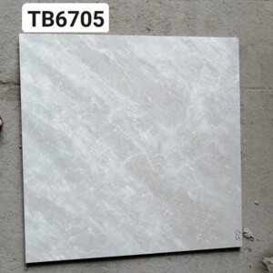 Gạch lát nền 60x60 Viglacera TB 6705