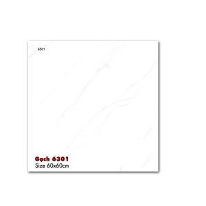 Gạch lát nền 60X60  World Tiles 6301