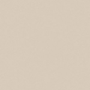 Gạch lát nền 800x800 Viglacera TS5-801