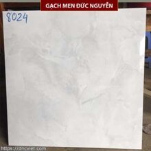 Gạch lát nền Catalan 8024 - 80x80