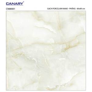 Gạch lát nền 80×80 TTC Ceramic CN88001