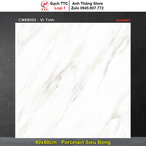 Gạch lát nền 80×80 TTC Ceramic CN88002