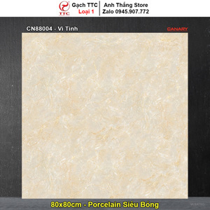 Gạch lát nền 80×80 TTC Ceramic CN88004