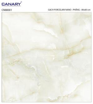 Gạch lát nền 80×80 TTC Ceramic CN88001