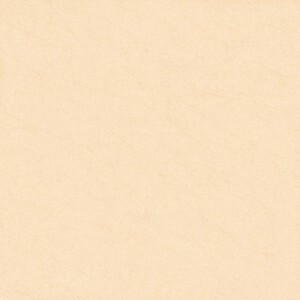 Gạch lát nền 80x80 Viglacera Eco M805