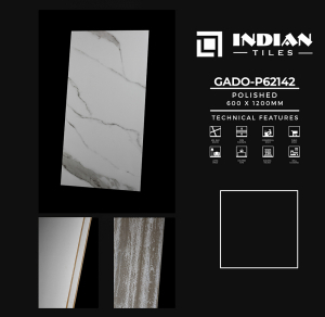 Gạch lát nền Ấn Độ GAD-P62142 - 60x120