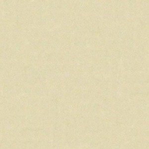 Gạch lát nền Bạch Mã MP-6002 - 60x60