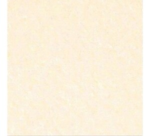 Gạch lát nền bóng kiếng Taicera DS1-P67703N - 60x60 cm