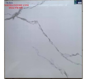 Gạch lát nền bóng kính Viglacera 80×80 TB811