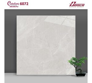 Gạch lát nền Catalan 60×60 6072