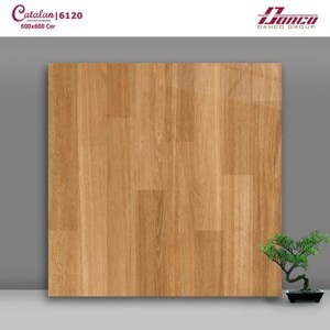 Gạch lát nền Catalan 6120 - 60x60