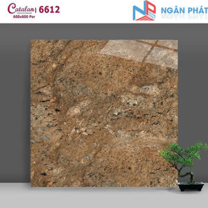 Gạch lát nền Catalan 6612 - 60x60