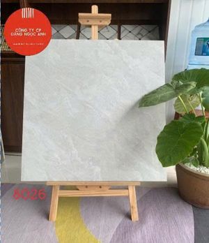 Gạch lát nền Catalan 8028 - 80x80