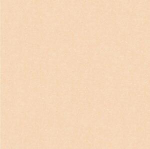 Gạch lát nền CB66007