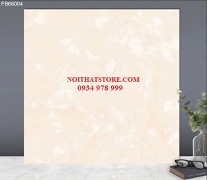 Gạch lát nền ceramic TTC FB66004