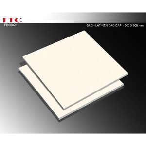 Gạch lát nền ceramic TTC FB66021