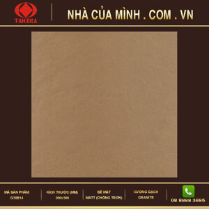 Gạch lát nền chống trơn Taicera G38B14