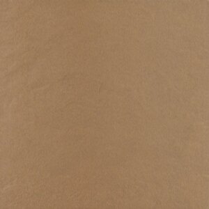 Gạch lát nền chống trơn Taicera G38B14