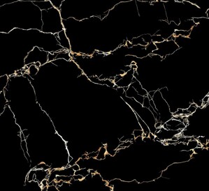 Gạch lát nền đá bóng kiếng toàn phần EPN6010