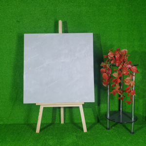 Gạch lát nền DC8941 - 80x80