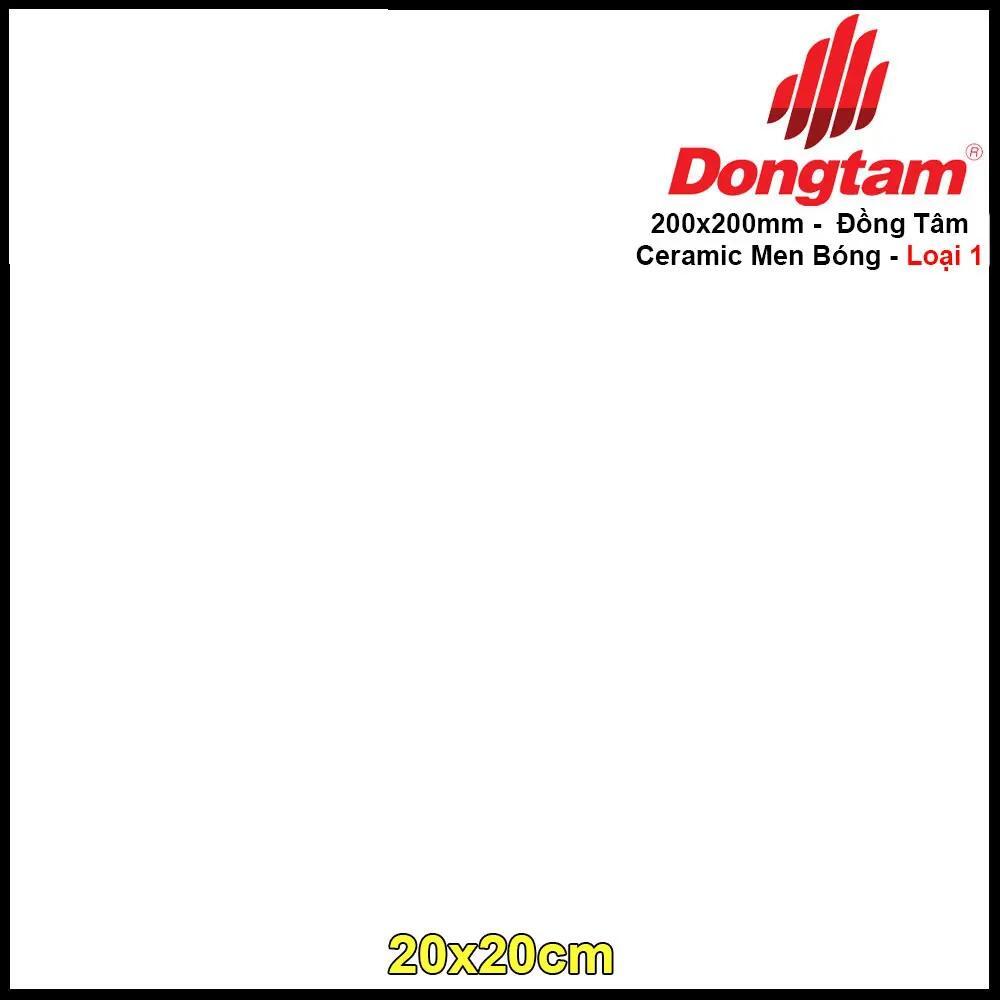 Gạch lát nền Đồng Tâm 20×20 TL01