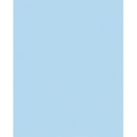 Gạch lát nền Đồng Tâm 20×25 2541