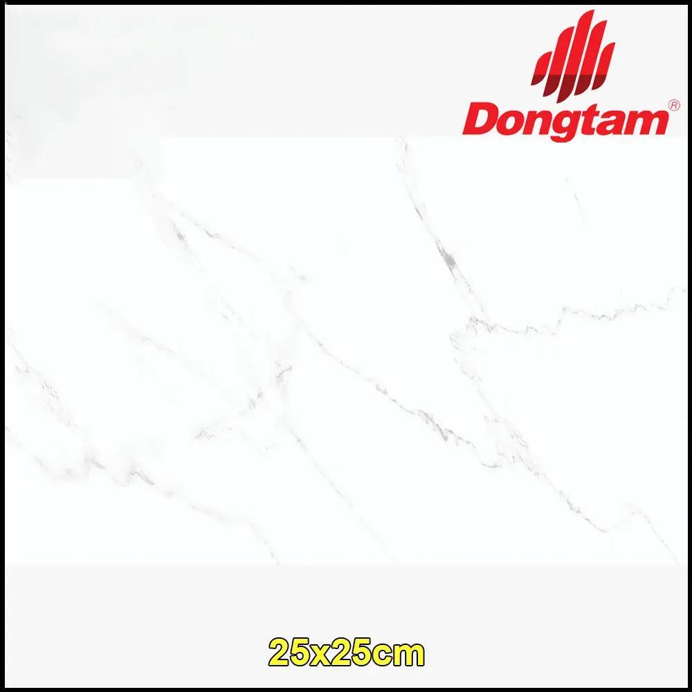 Gạch lát nền Đồng Tâm 25×25 2525CARARAS002