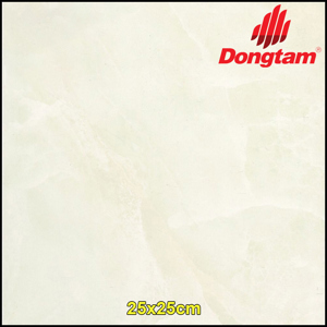 Gạch lát nền Đồng tâm 2525BAOTHACH001 - 25x25