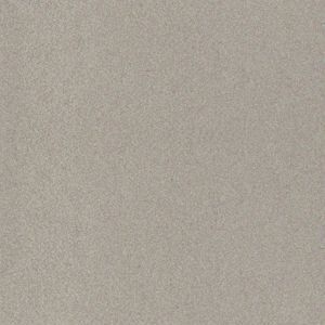 Gạch lát nền Đồng Tâm 3030TIENSA003 - 30x30