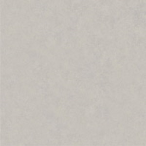 Gạch lát nền Đồng Tâm 3030VENU002