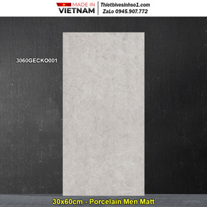 Gạch lát nền Đồng Tâm 3060GECKO001
