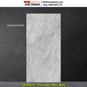 Gạch lát nền Đồng Tâm 3060GECKO004
