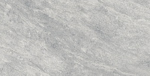 Gạch lát nền Đồng Tâm 3060GECKO004